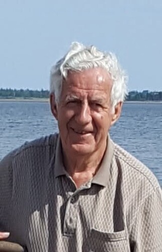 Medium hannah  leo 2