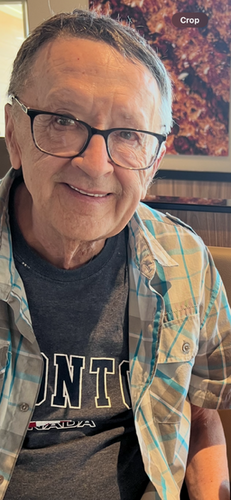 Medium norman roy