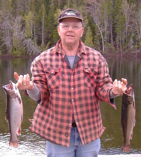 Medium raymond roy